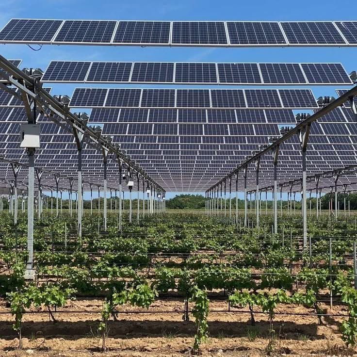 Solar Farming and MW Projects